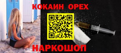 стафф Шелехов
