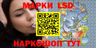 стафф Шелехов
