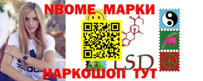 стафф Шелехов