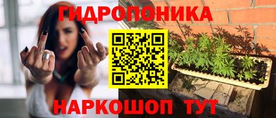 стафф Шелехов