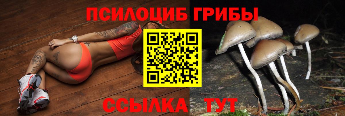 Белореченск  Псилоцибиновые грибы мухоморы  Галлюциногенные грибы прущие грибы  Вход с VPN 